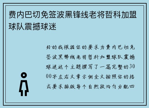 费内巴切免签波黑锋线老将哲科加盟球队震撼球迷